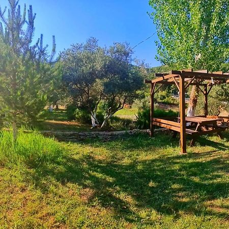 Vita Camping Otel Geyikbayiri エクステリア 写真