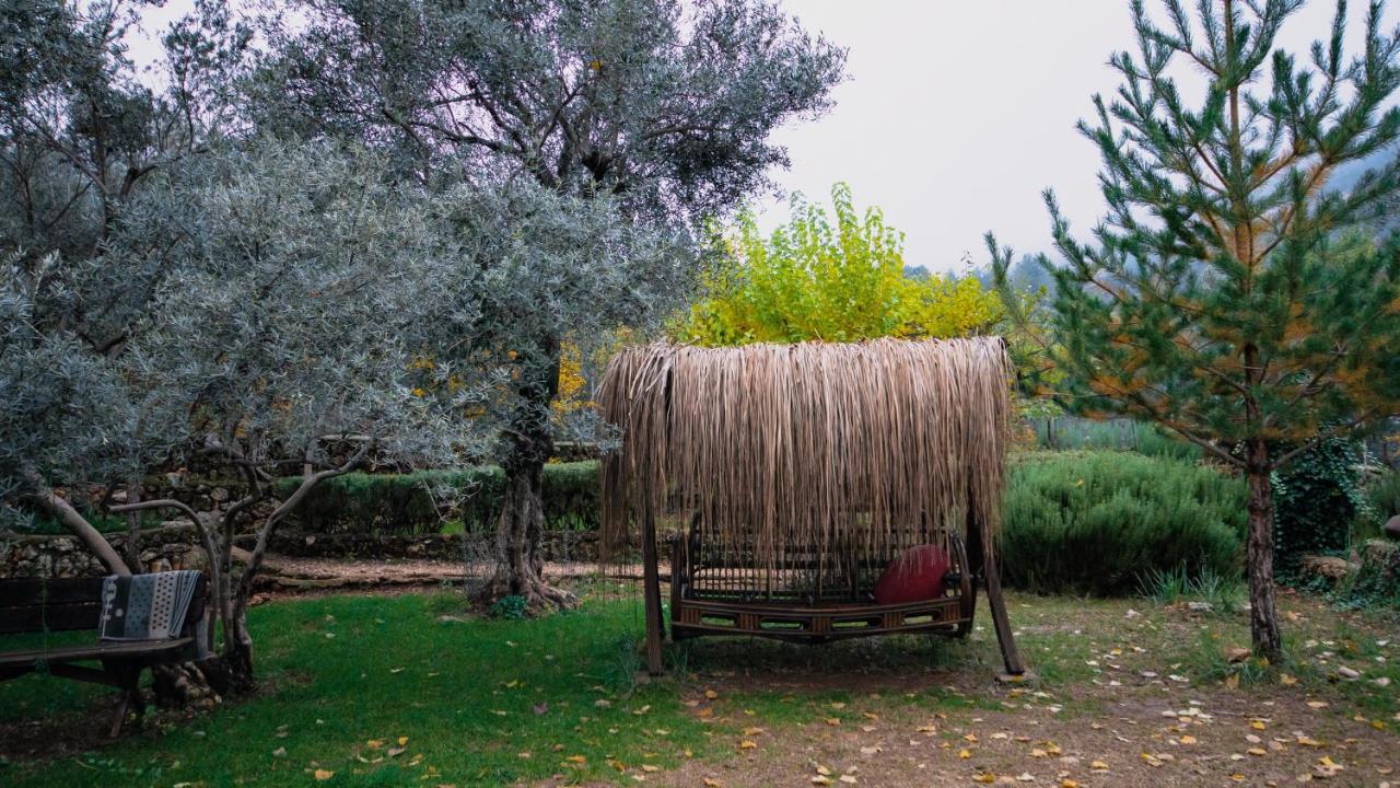 Vita Camping Otel Geyikbayiri エクステリア 写真